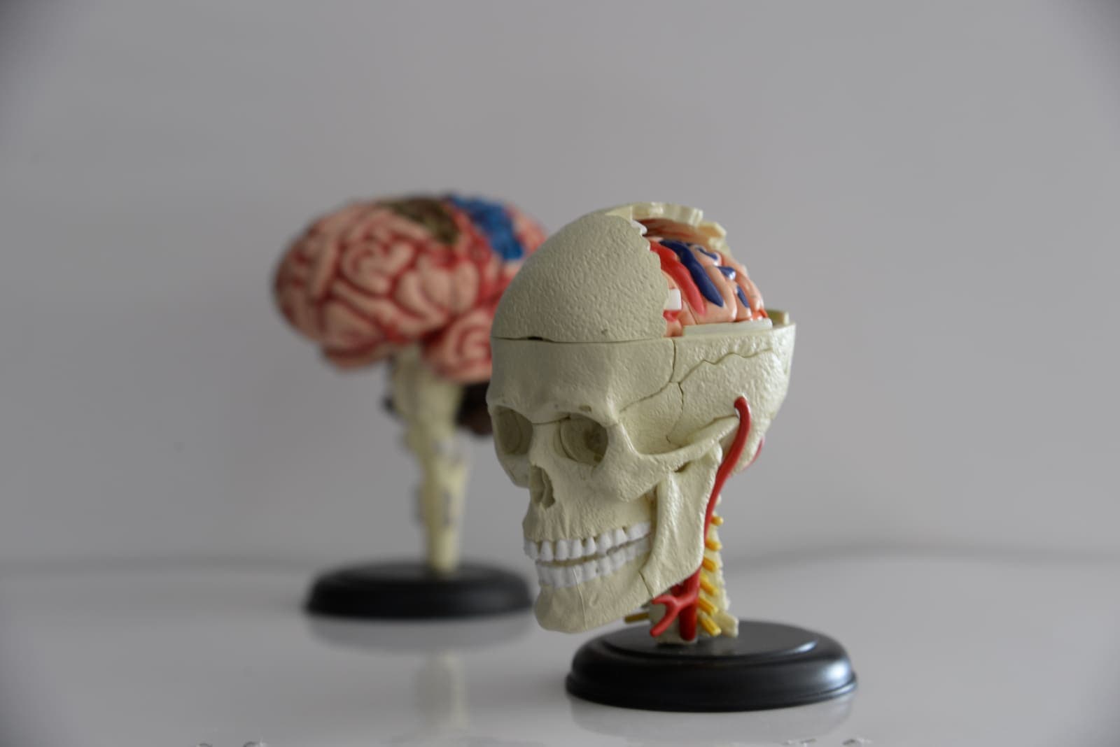 Neuropsicologia